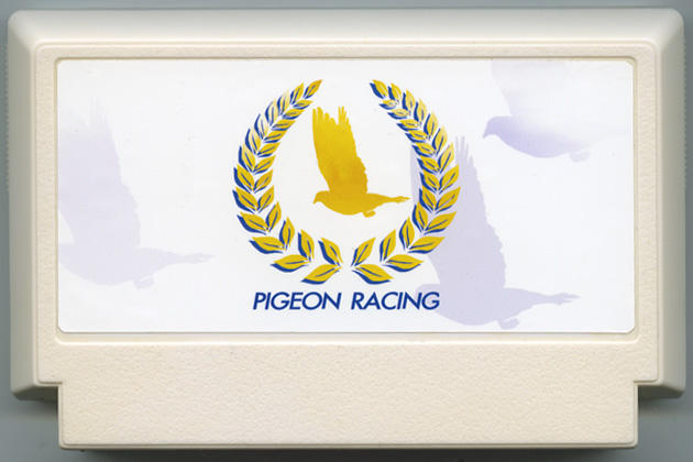 PIGEON RACING