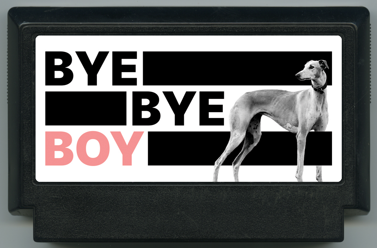 BYE BYE BOY cover